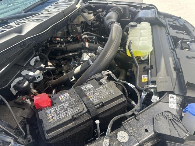 2025 Ford F-150 XLT 4WD SuperCrew 5.5' Box