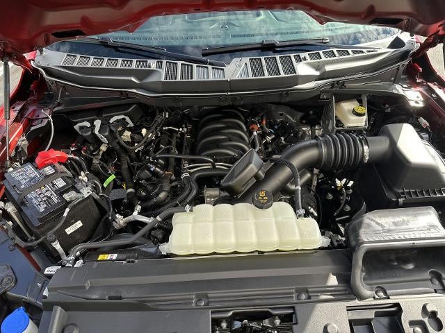 2026 Ford F-150 XL 4WD Reg Cab 8' Box